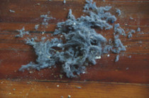 Hausstaub